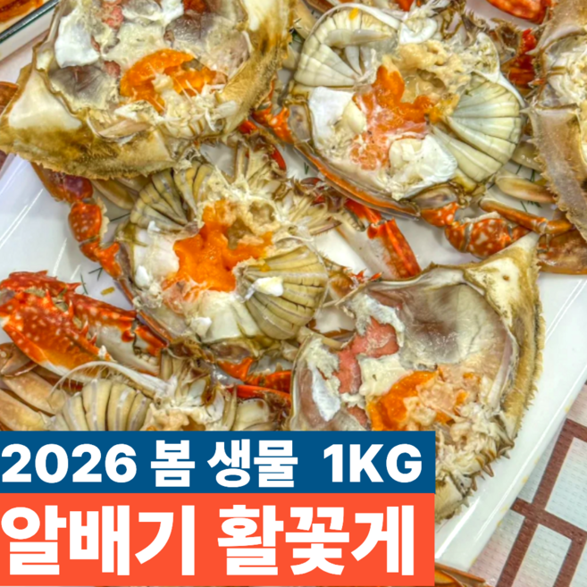 국내산 생물 알배기 활꽃게, 1개, 1kg