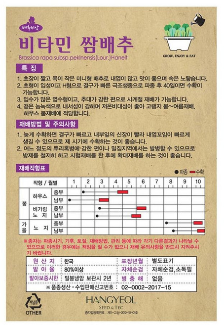 영농사 <비타민 쌈배추 씨앗 1000립>, 1개