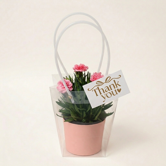 [가정의달] 어버이날 카네이션 화분 선물세트 (심플리+메시지카드+쇼핑백 풀구성), 1개, 카네이션 핑크 & 화분 핑크