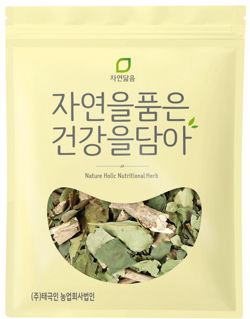 자연닮음 야생 건조 말린 황칠나무 차 잎 300g, 1개