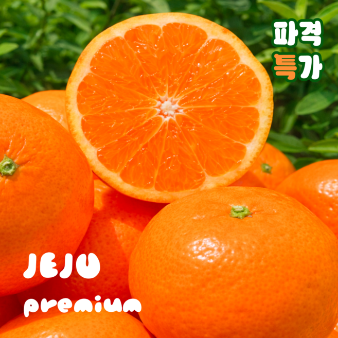 [제주프리미엄] 새콤달콤 꿀brix 로얄과 진지향, 1박스, 3kg (정품혼합)