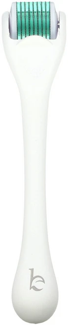 Beauty By Earth 마이크로니들 더마 롤러 0.25mm 티타늄 바늘 롤러 1개 - 쿠팡