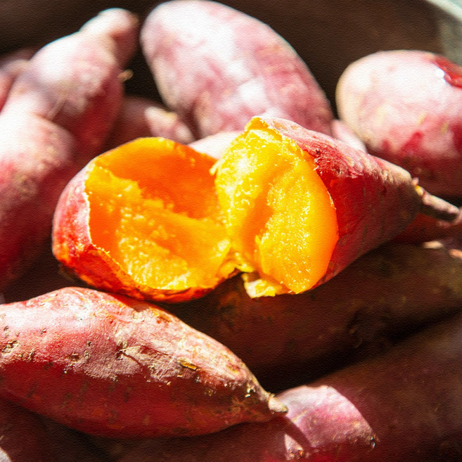 [GAP인증] 껍질째 먹는 영암산 황토 꿀고구마 중 사이즈(60~100g/개)/세척.살균+큐어링(숙성), 3kg, 1박스