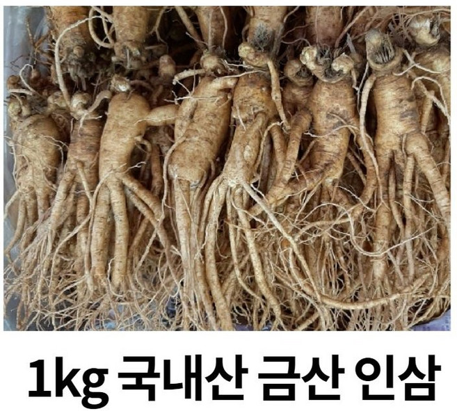 국내산 금산 인삼 수삼 가정용 인삼 5년근1kg (15-18뿌리), 1KG세척(o), 1개