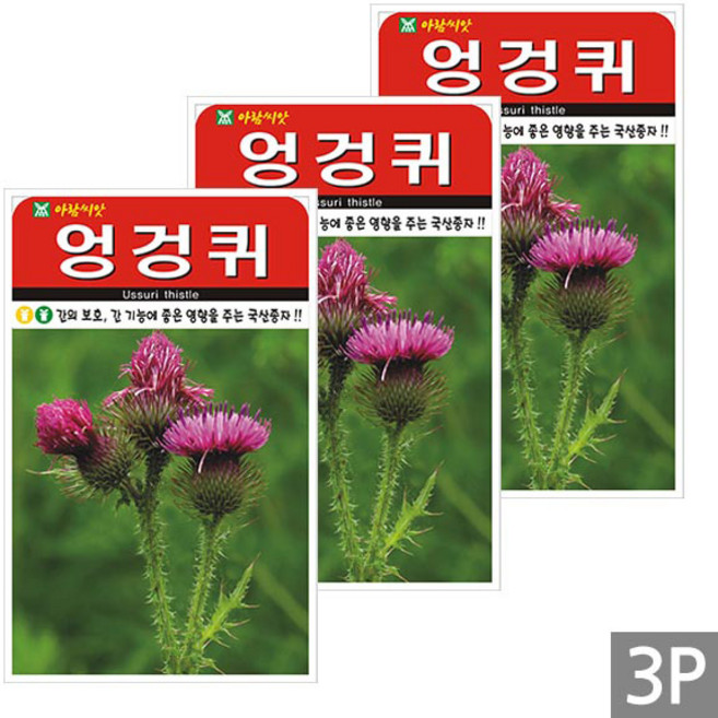 세인화분 엉겅퀴 100립 - 국산 재래종 씨 씨앗, 3개