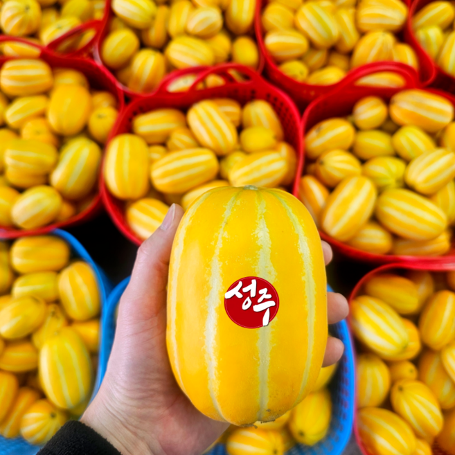 [당도선별] 고당도 성주 참외 꿀참외, 1박스, 로얄과_3kg