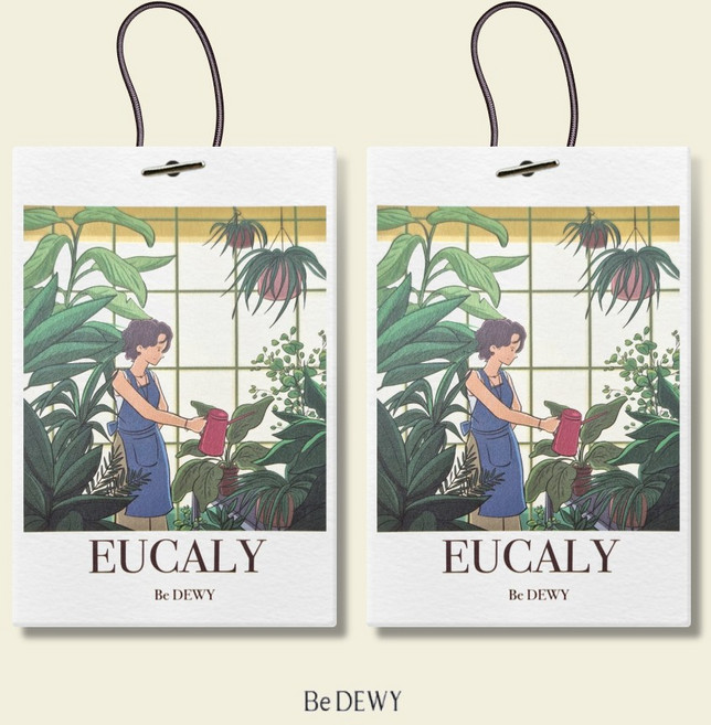 비듀이 퍼퓸 샤쉐 차량용 옷장 에어 프레셔널 20g 5종, 유칼리, 2개