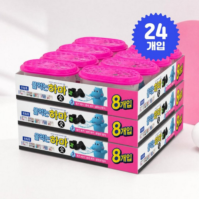 물먹는하마 참숯 옷장용 제습제 냄새제거 옷방 자취방 장마철 대용량 습기제거제, 280g 24개