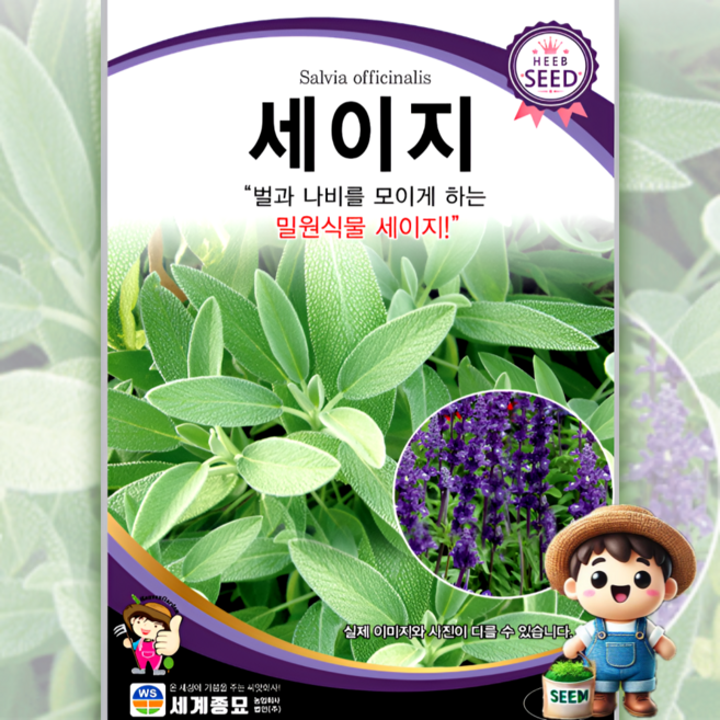 모칸도 (무배)세계 세이지 꽃씨 (20립), 1개