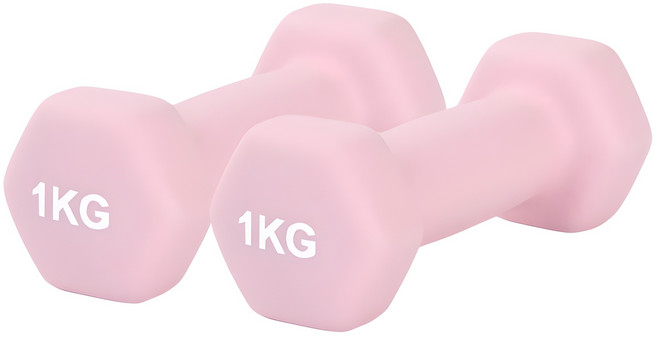 리브스포 논슬립 아령, 1kg, 2개