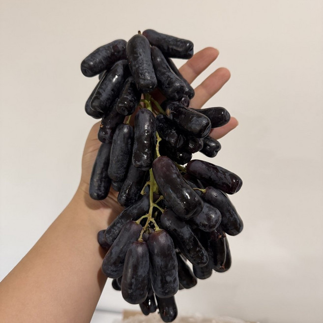 [제니네 제철과일] 블랙사파이어포도 수입산 호주 씨없는 블랙포도, 1개, 800g