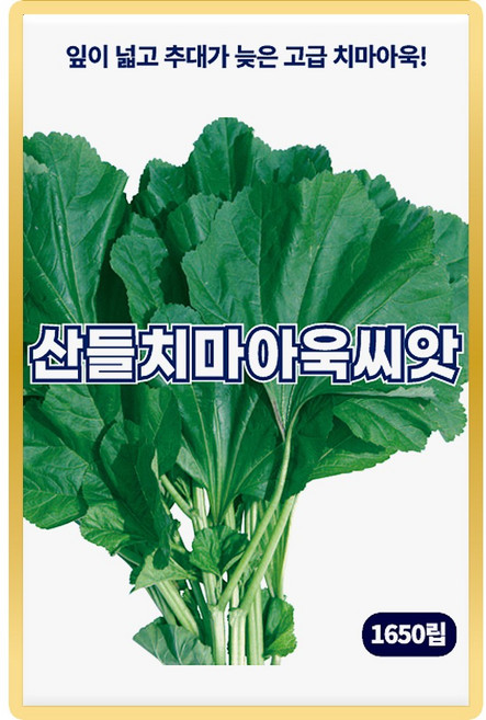 산들 치마아욱 씨앗 1650립 잎 넓고 추대 늦은 소량 아욱씨 종자, 1개