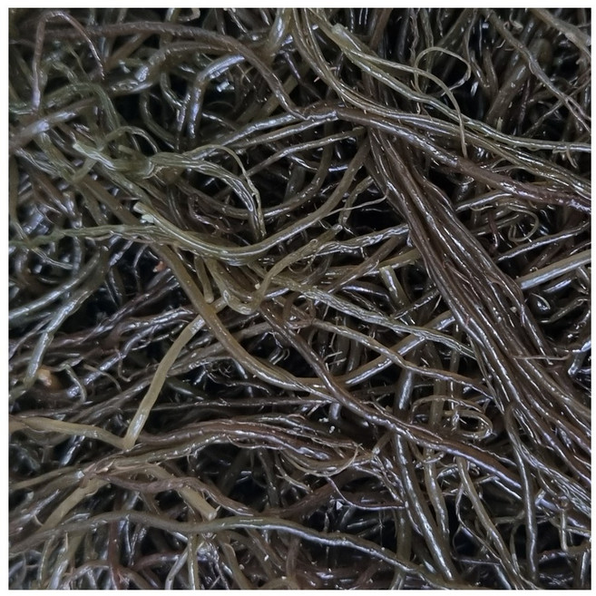 [삼화해조류][무염] 완도 꼬시래기 200g 500g 1000g, 1개, 1kg