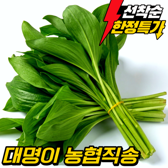 [일일한정 초특가] 울릉도종 명이나물 대명이 강원도 산지직송 산나물, 4kg, 1개