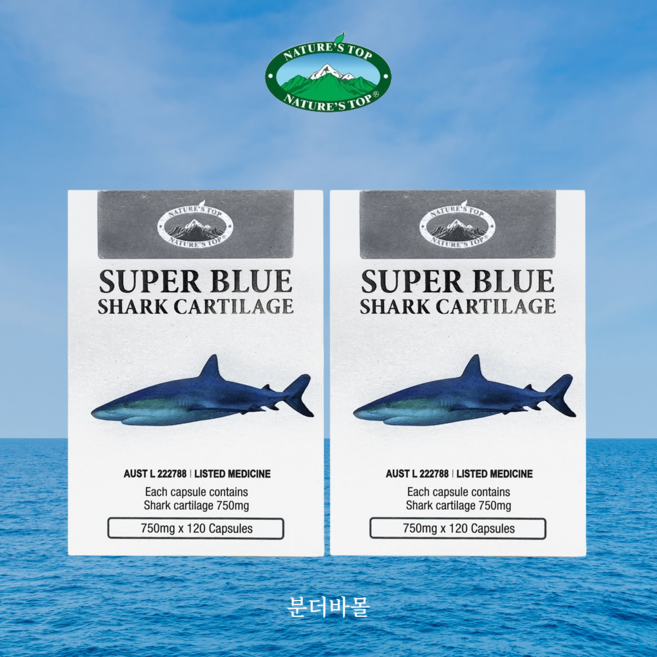 네이쳐스탑 청상어연골 750mg Nature's Top Blue Shark Cartilage, 2개, 120정