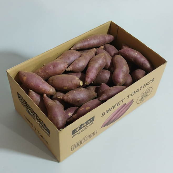 레드이츠 해남 호박 고구마 베니하루카, 1개, 중 3kg (50~100g)