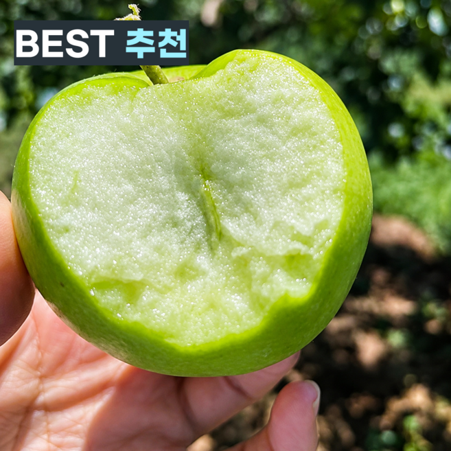 [하루20박스] 올해첫수확 아삭달콤 꿀범벅 썸머킹, 1개, 5kg