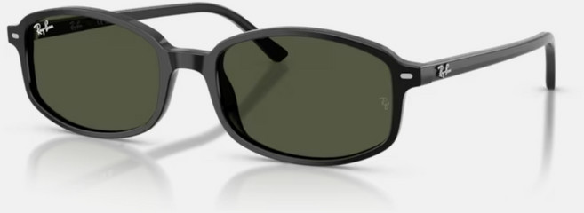 Ray-Ban雷朋 RB2232F 橢圓膠框太陽眼鏡