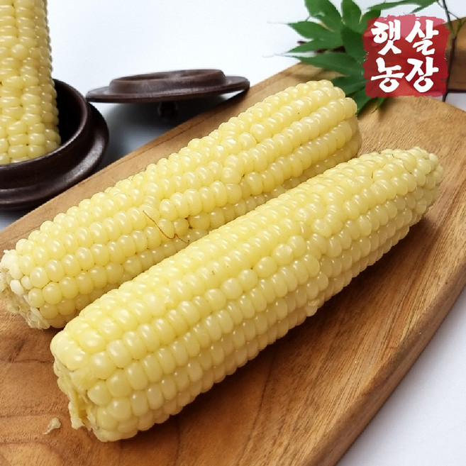 햇살농원 강원 정선 국산 미백 찰옥수수, 1박스, 냉동(찜) 미백찰-20개(중소 11~14cm)