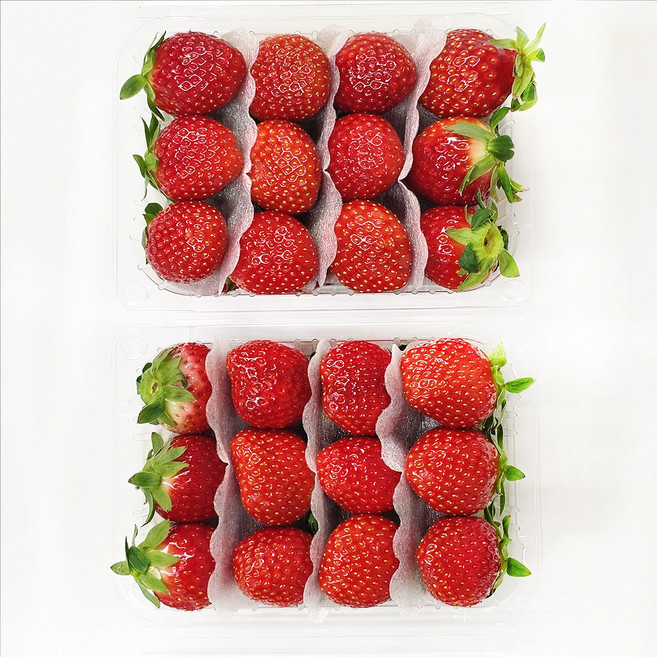 햅피팜 당도선별 딸기 설향 고당도 생 딸기, 1개, 특품 2kg