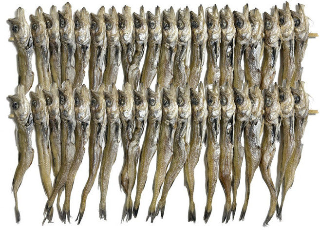 1등급 명태 줄노가리 2줄 40마리 / 무조미 노가리 호프 안주, 1개, 60급(40마리)