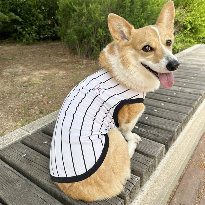 도기스타 웰시코기옷 여름 강아지 쿨조끼, 야구블랙, 1개