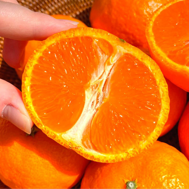 [천상의맛] 만족도1위 제주 카라향, 1박스, 2kg