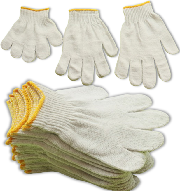 룰루레빗 고사리손 어린이 체험 활동 목장갑, 10개, 화이트,M