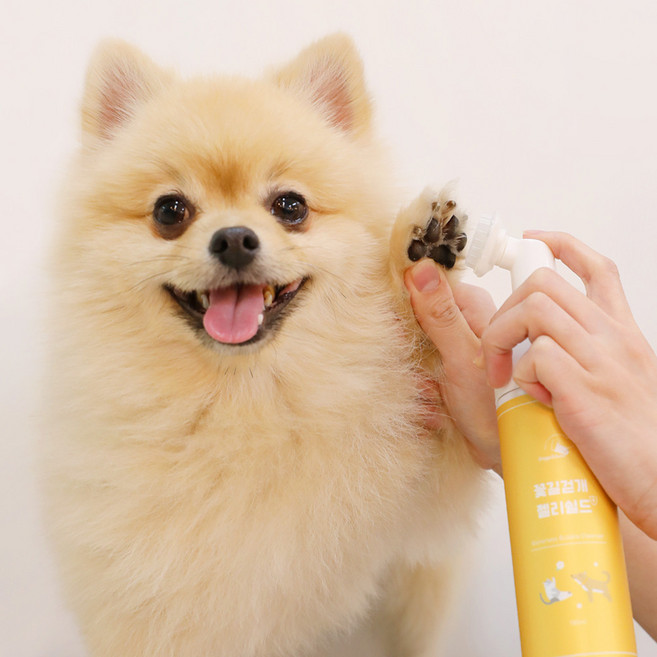 도고앤가또 물없이 간편하고 깨끗하게 꽃길걷개 워터리스 샴푸 180ml, 1개