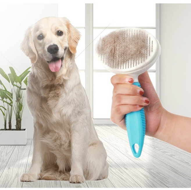 (1+1 랜덤색상배송)고양이 개 털 빠짐 죽은털 제거 청소기 원터치 단모 소중형 브러쉬, (검정+핑크) + 랜덤 색상 1개