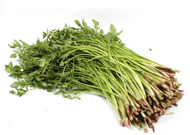 향긋한 청도미나리, 1kg, 1개