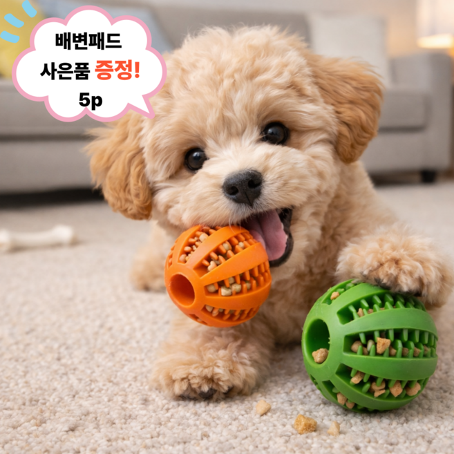 꿀템모아 간식볼 강아지 용품 반려동물 스낵볼 장난감 노즈워크 공, 1개, 오렌지