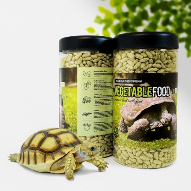 렙츠 육지거북이 사료 채소기반 베지터블푸드, 350g, 1개