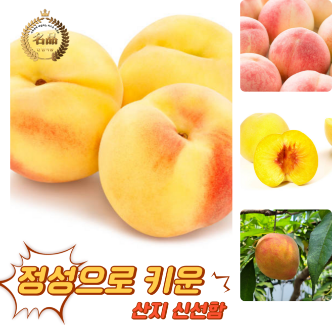 [굿피플] 고당도 천상의맛 햇복숭아 복숭아 하우스복숭아, 1박스, 털복숭아 4kg 19-20과 (딱딱이,황도,백도 랜덤)