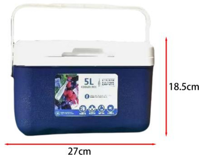 휴대용 미니 아이스박스 쿨러박스 5L 6L 12L 캠핑 낚시 피크닉 홈파티 차량용, 2)5L Blue