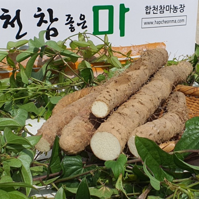 합천 알뜰마 못난이마 자투리마 소 7 kg, 7kg, 1개