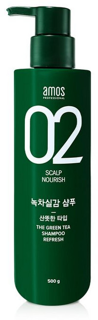 아모스 녹차실감 지성두피 프레쉬 샴푸, 500g, 1개