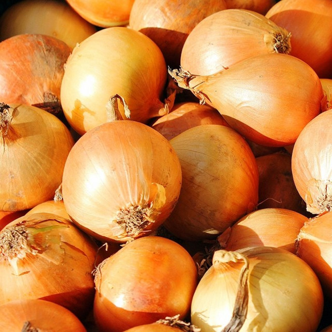 여수 햇 양파 국내산 산지직송, 1개, 5kg 대