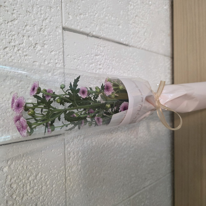 피어나상점 꽃다발 선물 생화 꽃 소재 기념일 축하 [미디움], 소국 진함, 1개