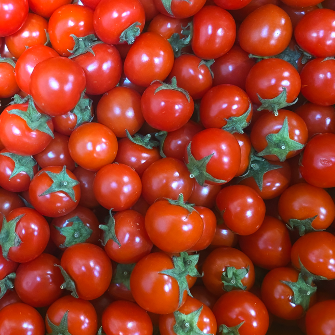 국내산 방울 토마토 초특가, 1개, 5kg 방울토마토 소과