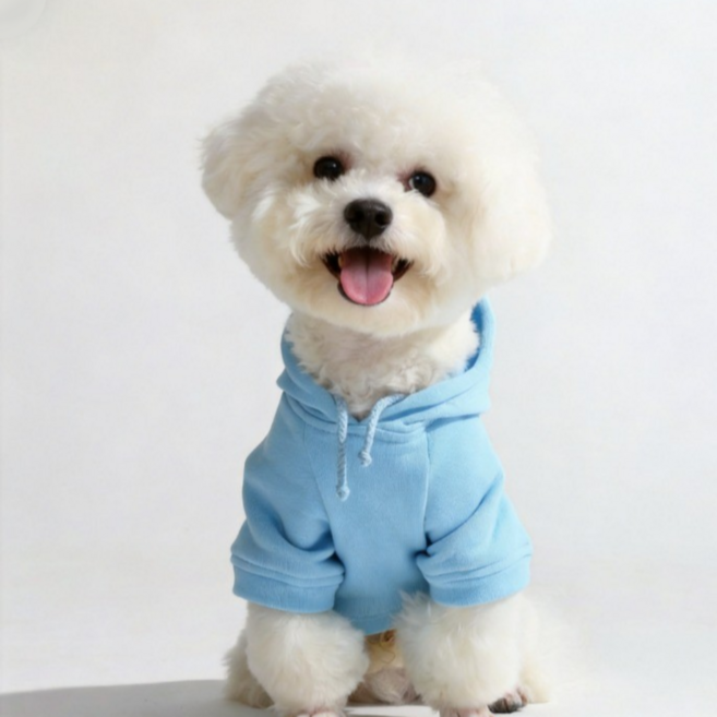 큐앤캐롯 강아지 순면옷 후드티 티셔츠 맨투맨 베이직 강아지옷, 1개, 블루