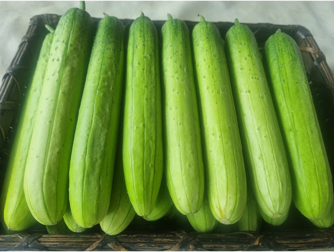 강원도 홍천 가리산 캡오이 백다다기 백오이 5kg 10kg 오이지용 피클용, 못난이 백오이 10kg