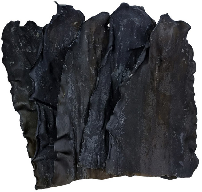 [삼화해조류]완도 햇 꼭지다시마 500g 뿌리다시마 A등급원초 진한국물 무공해, 1개