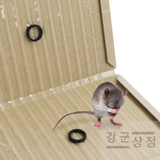 (강군상점) 쥐 끈끈이 쥐잡이끈끈이 작은벌레 쥐끈끈이 쥐트랩 비퀴벌레 쥐덫 쥐찍직이 쥐퇴치, 1세트, 2개입