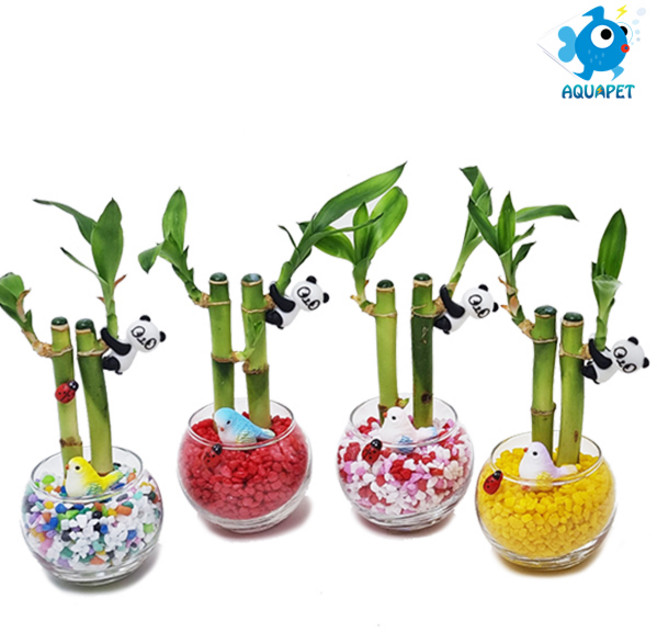 개운죽 키우기 유리 원형볼 6cm A형 DIY키트 + 매달린 팬더 피규어, 초록+연두+백가공