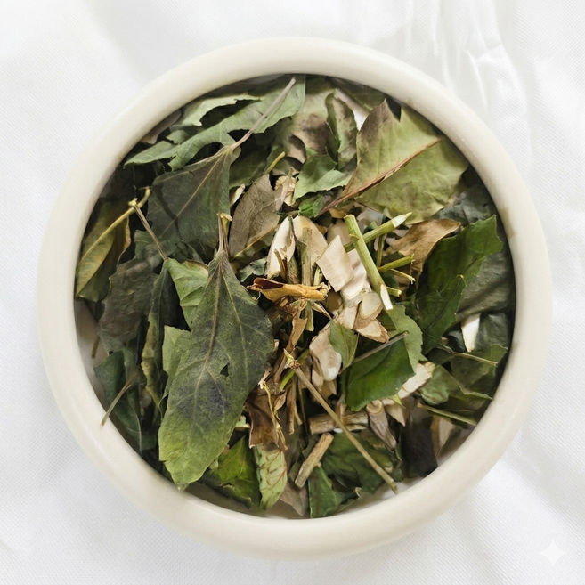 황칠나무500gx2(국내산)(잎+가지), 2개, 500g