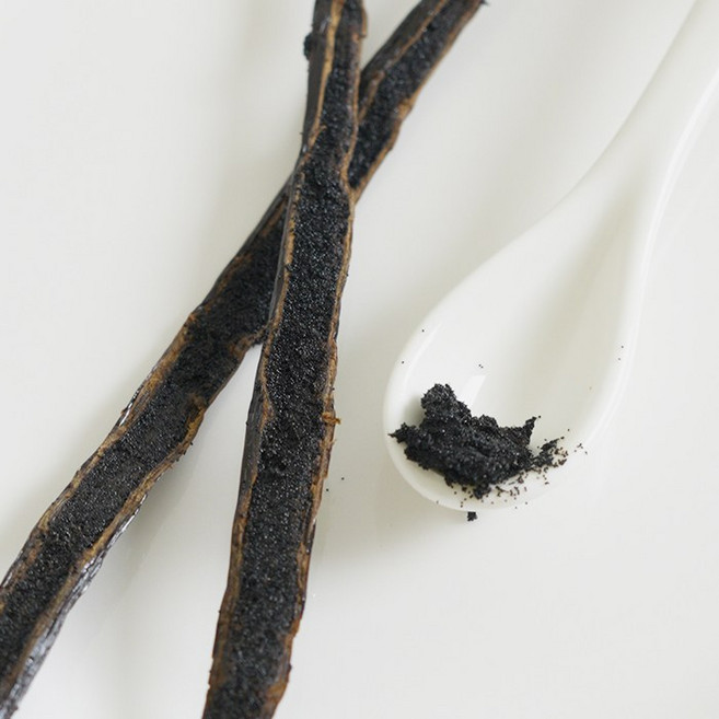 25g 딜리토 우간다 프리미엄 블랙라벨 바닐라빈, 1개