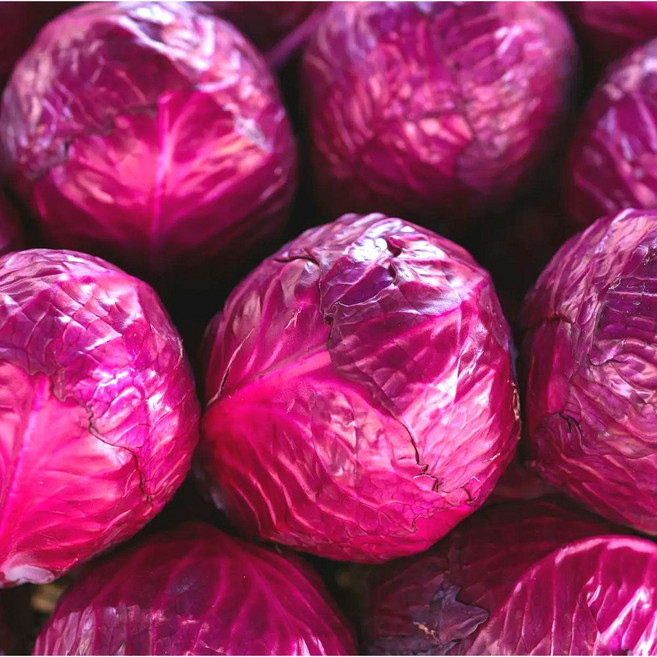 [최상급원물] 재구매율1위 제주 적채 양배추, 1박스, 3kg