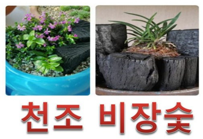 천조비장탄/ 참숯 10kg, 1개