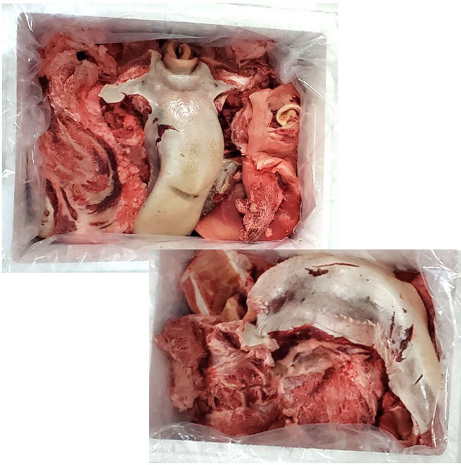 (머리뼈포함) 육우 거세 소머리정육 발골 반마리 냉동, 1개